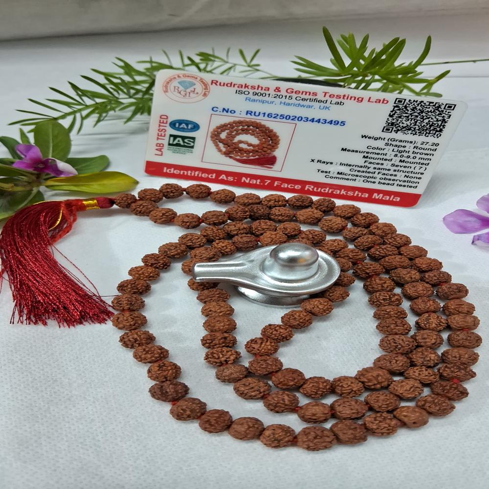 7 mukhi indonasian Rudraksha Mala