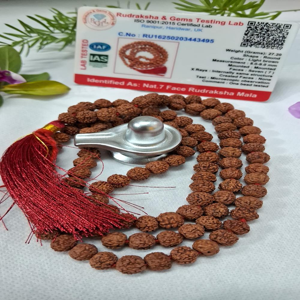 7 mukhi indonasian Rudraksha Mala