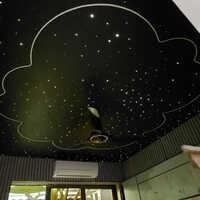 Fiber Optic Light Ceiling - Color: Black