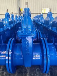 Di Resilient Soft Seated Gate Valves