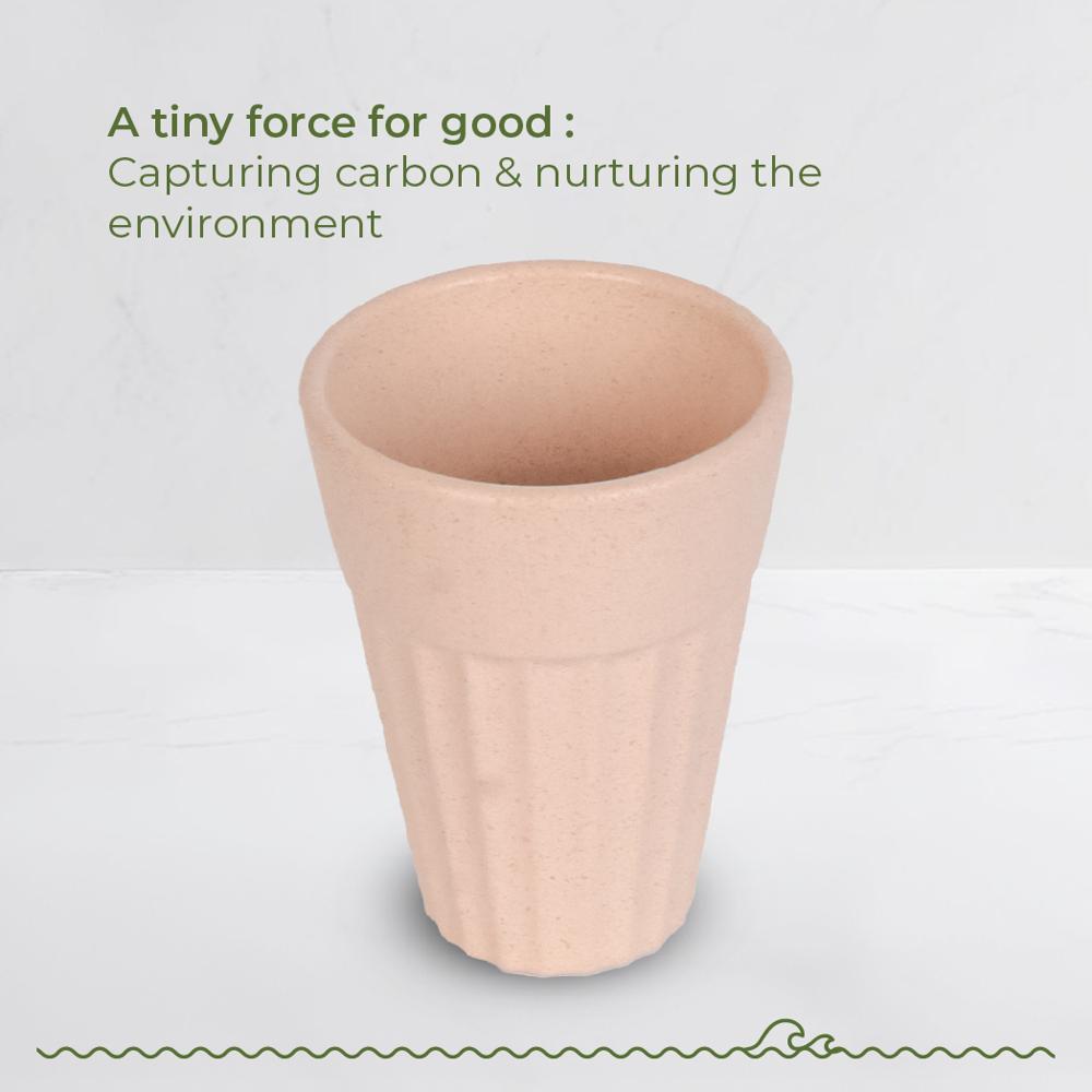 120ml Sea Star Peach Unbreakable Promotional Husk Chai Cup