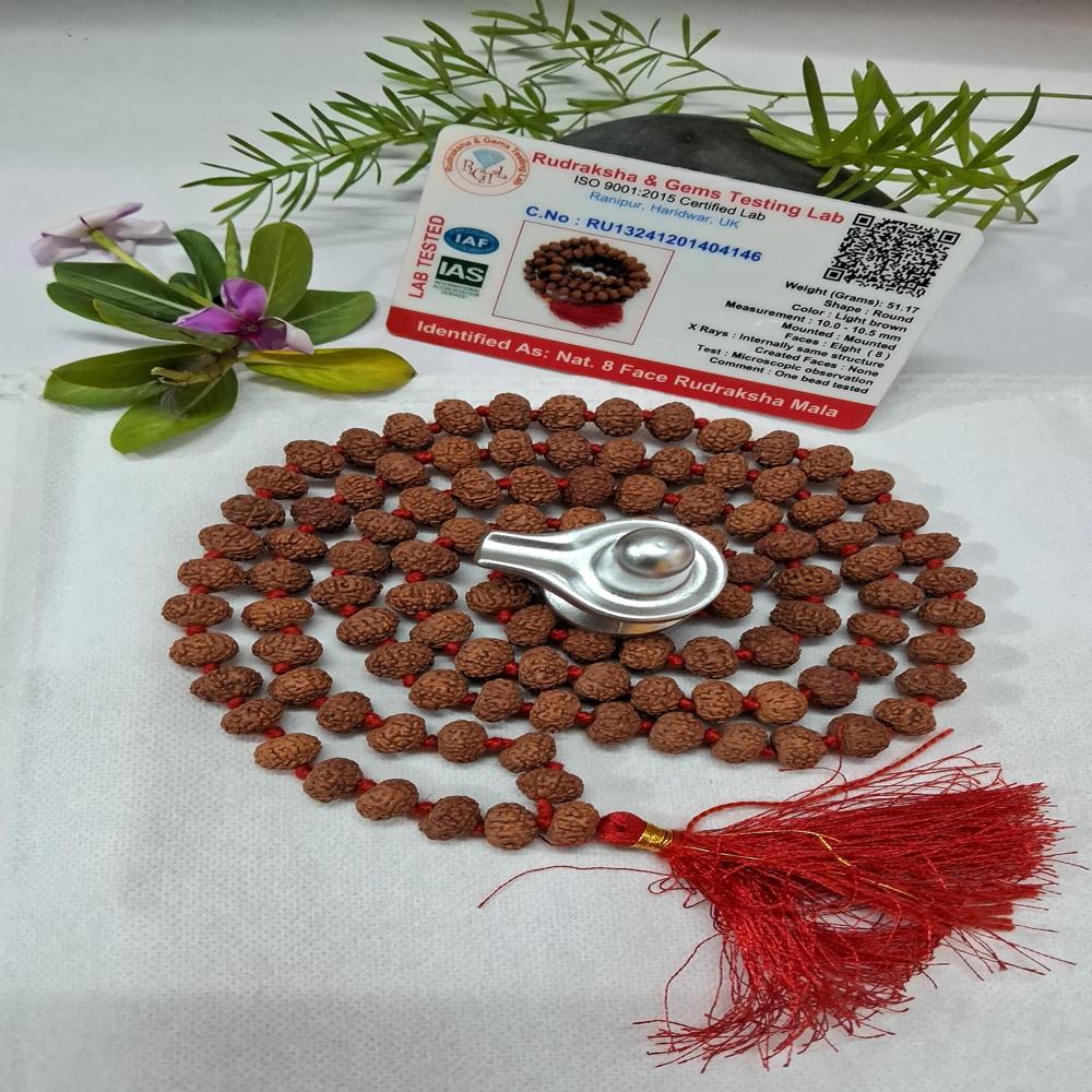 8 mukhi indonasian Rudraksha Mala