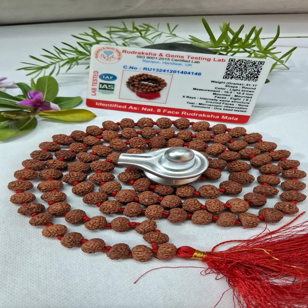 8 mukhi indonasian Rudraksha Mala