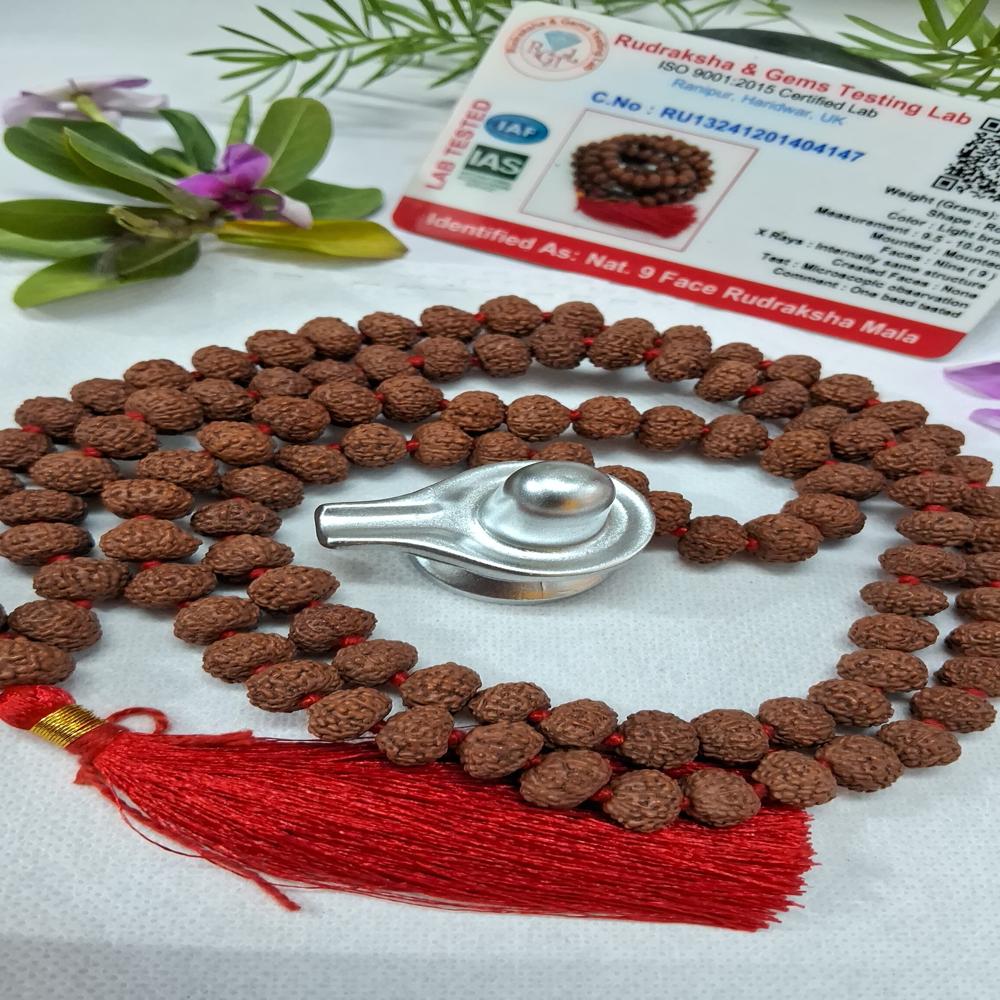 9 mukhi indonasian Rudraksha Mala