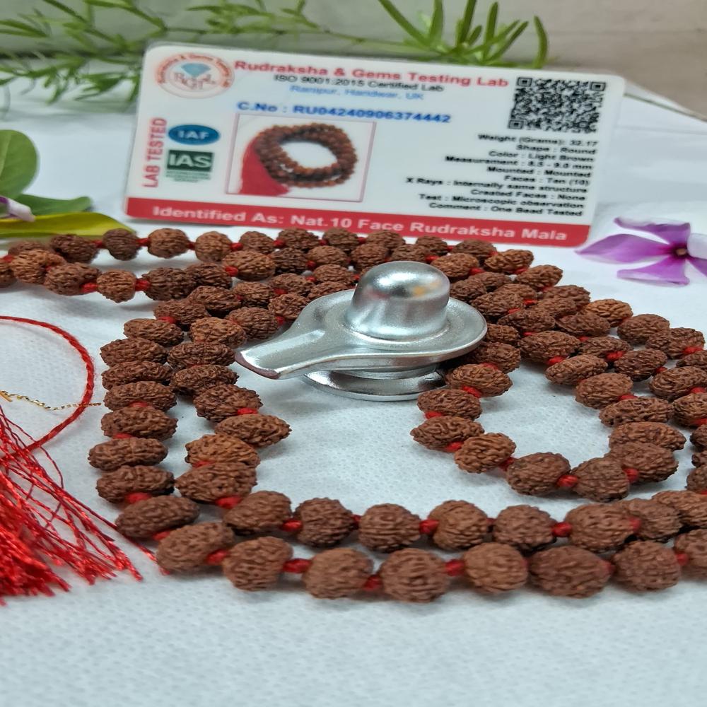 10 mukhi indonasian Rudraksha Mala