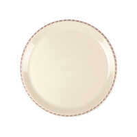 Plastic Plate For Catering