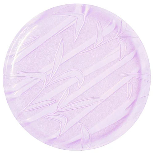 Plastic Clear Sugarcane Buffet Plate