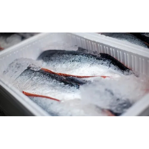 Seafood Testing Service