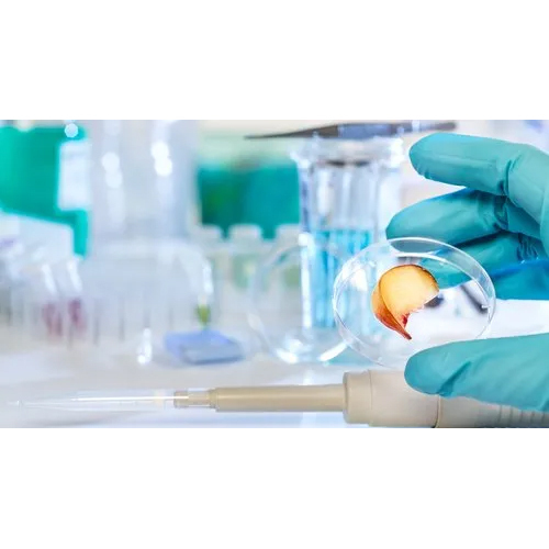 Food Testing Service