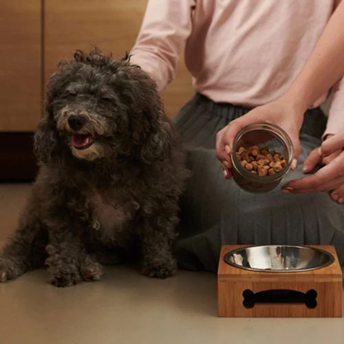 Animal Food Testing Service