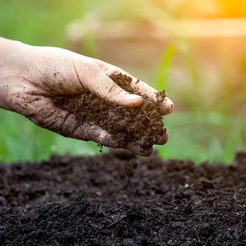 Soil Testing Laboratories Services