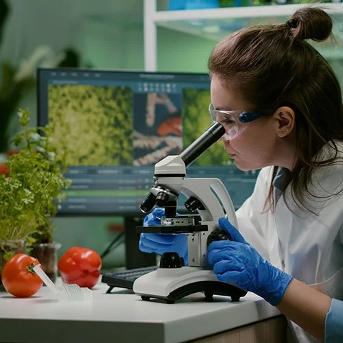 Food Analytical Testing Services