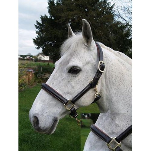 GI-LHT-005 Leather Halters