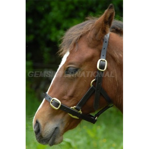 Horse Leather Halters Gi-Lht-007 - Color: Black