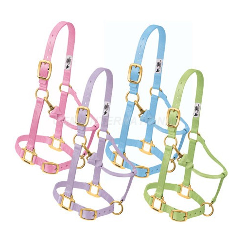 GI-HT-006 Nylon Halter