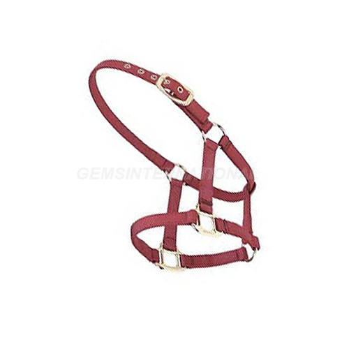 Horse Nylon Halter - Color: Red