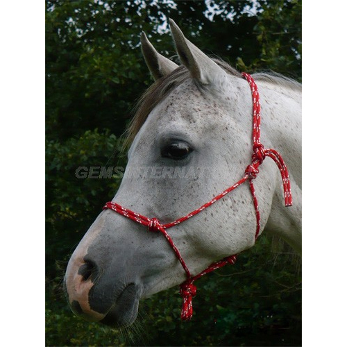 GI-RHT-002 Rope Halter