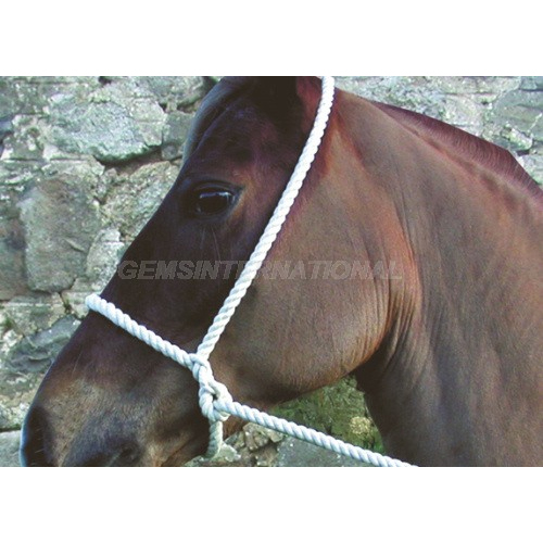 Horse Rope Halter - Material: Synthetic