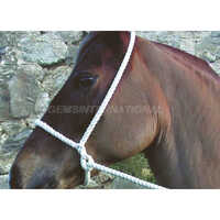 Horse Rope Halter Gi-rht-003 - Material: Synthetic