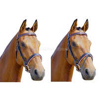 Horse Leather Bridle Gi-brd-004 - Color: Black