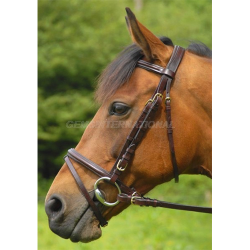 GI-BRD-008 Leather Bridle