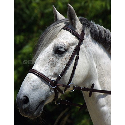 GI-BRD-009 Leather Bridle