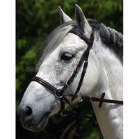 Horse Leather Bridle Gi-brd-009 - Color: Black