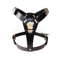 Dog Harness Gi-dh-001 - Color: Black