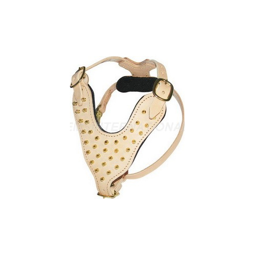 Dog Harness Gi-Dh-004 - Color: Beige
