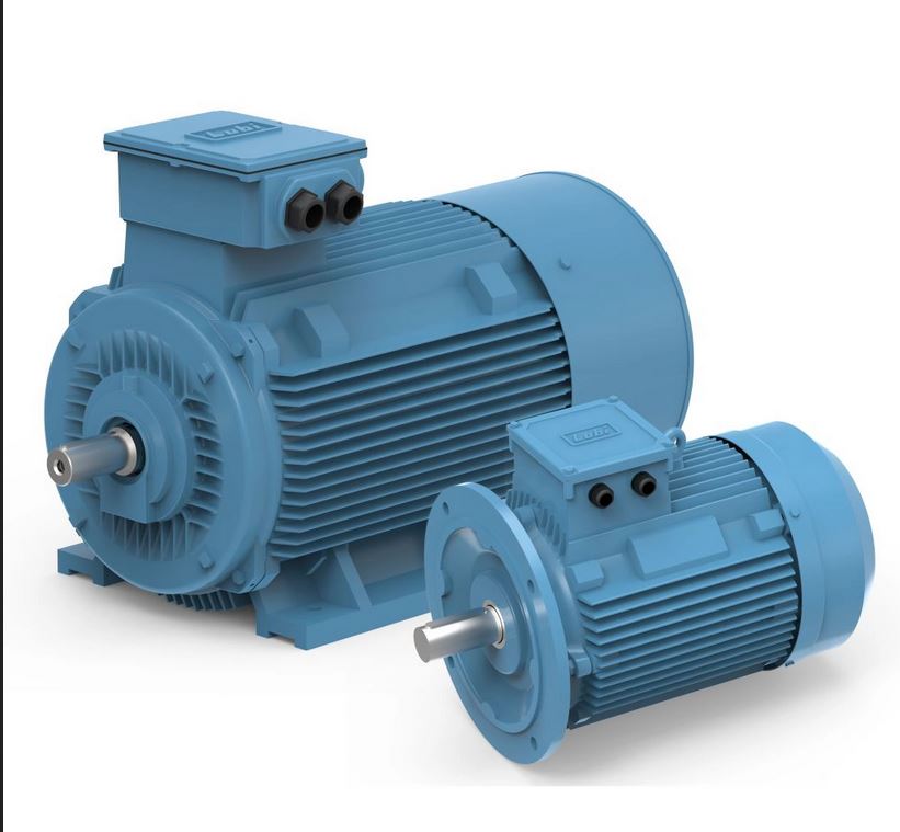 ELECTRIC MOTOR