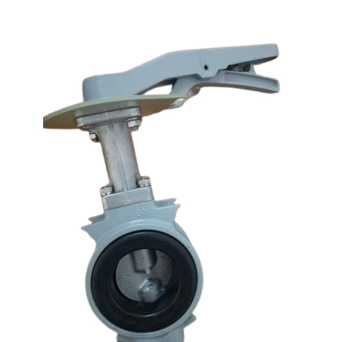 Kitz Butterfly Valve