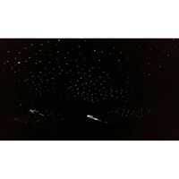 Fiber Optic Star Light