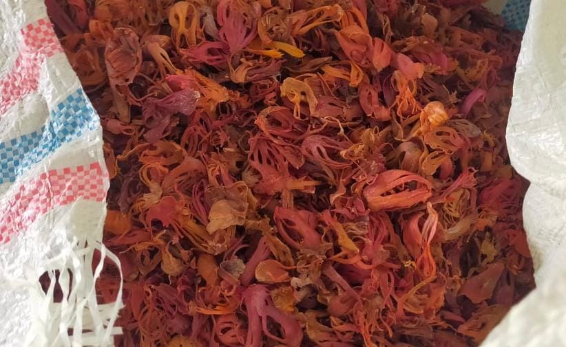 Mace Phool - Color: Brown