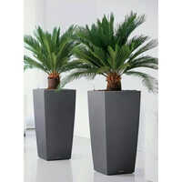 Square Frp Pot - Color: Grey