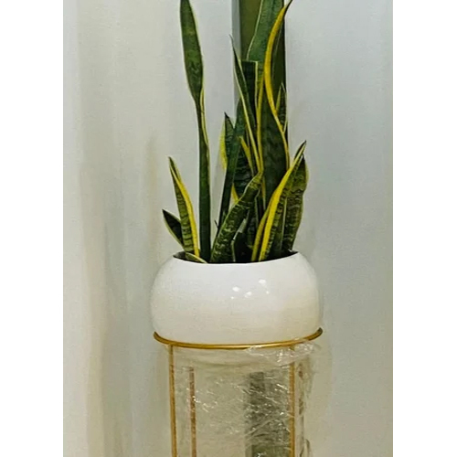 Round Flower Pot