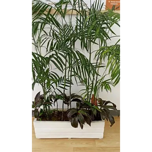 Rectangular Fiber Plant Pot
