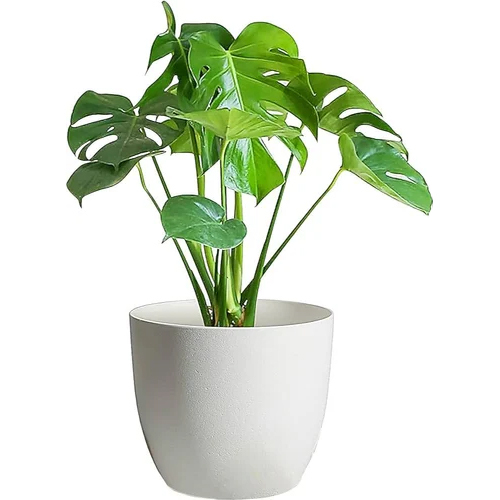 White Round Fiber Plant Pot