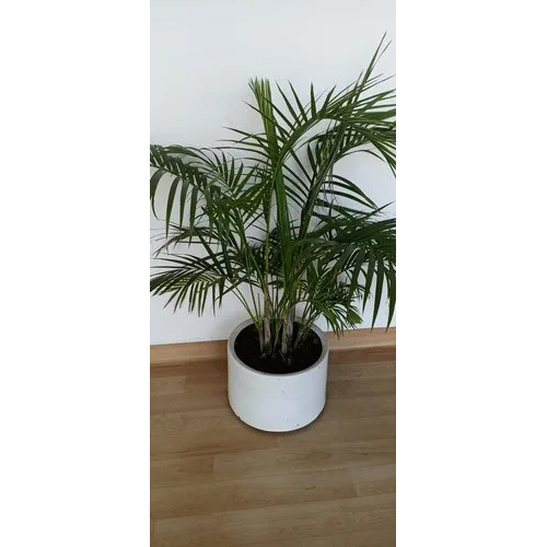 FRP Garden Pot