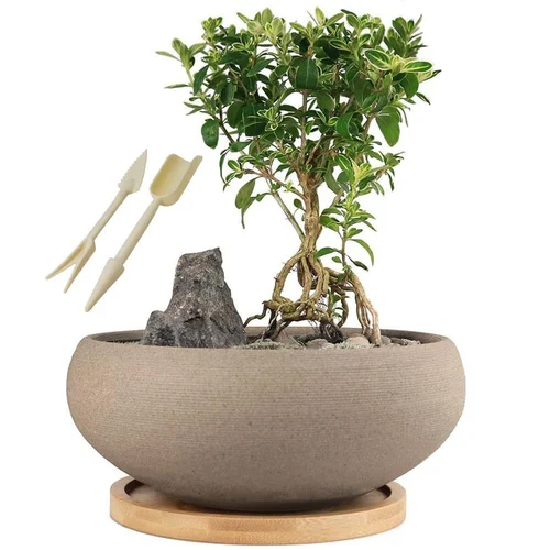 Bonsai Pot - Color: Grey
