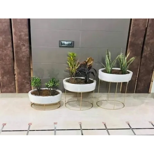 Bonsai Tray