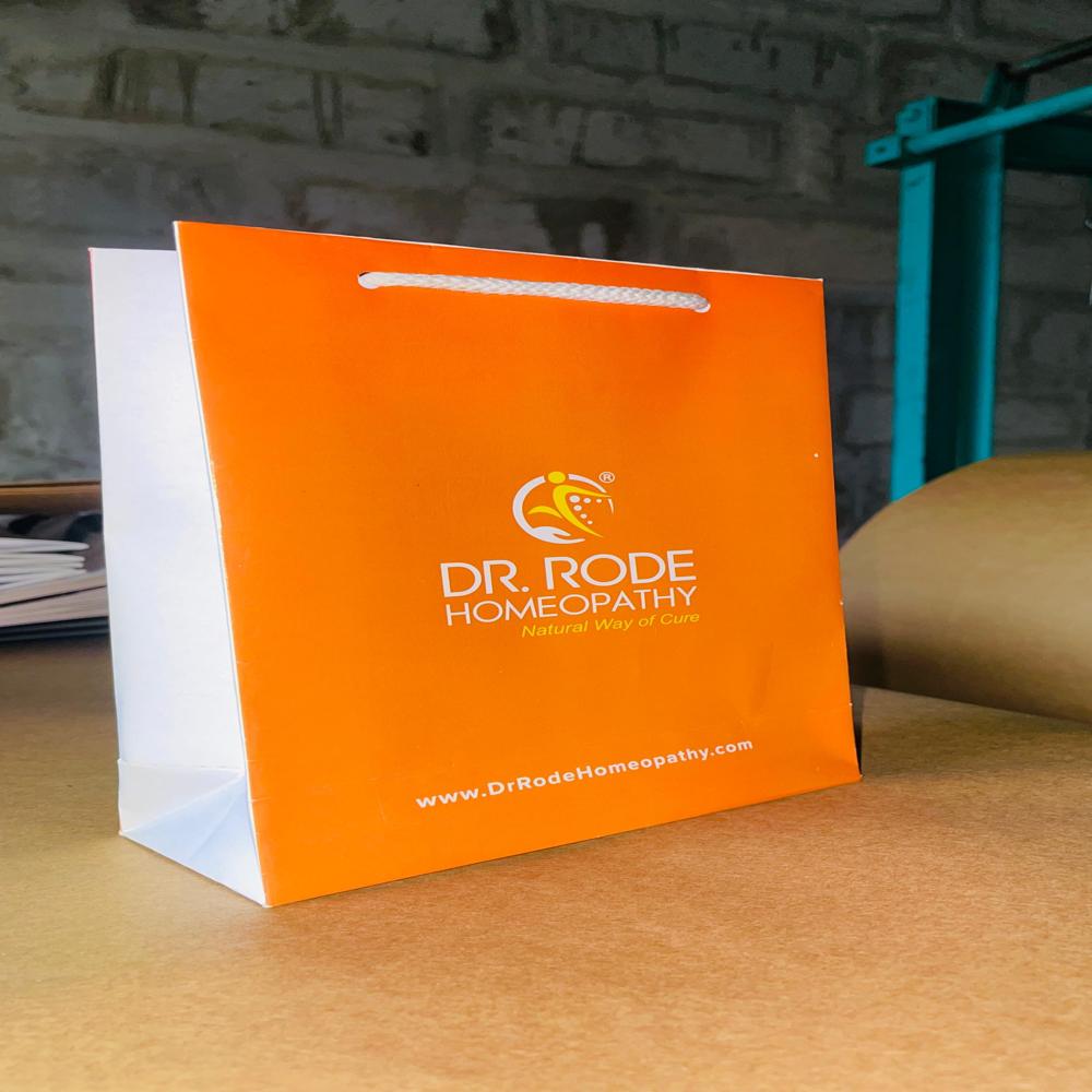 Glossy Finish 170 Gsm 4 Four Colour Printing Paper Bag