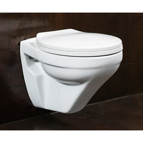 Coosa One Piece Wall Hung Toilet
