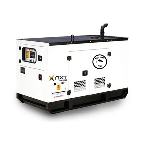20 kVA Petrol PNG Genset