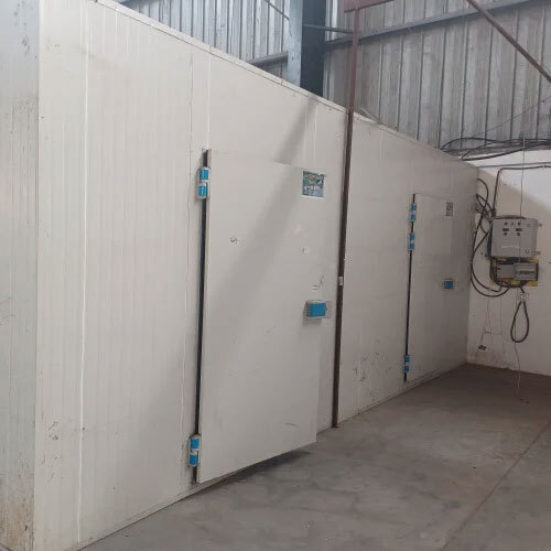 Banana Ripening Chamber Services