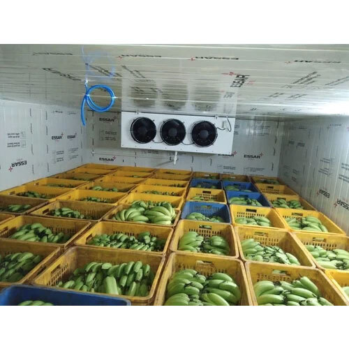 Banana Ripening Chamber Services