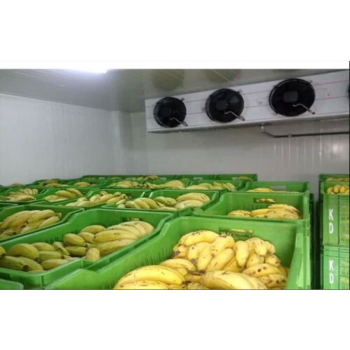 Banana Ripening Chamber Services
