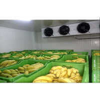 Banana Ripening Chamber Services
