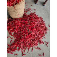 Red Chilly Cold