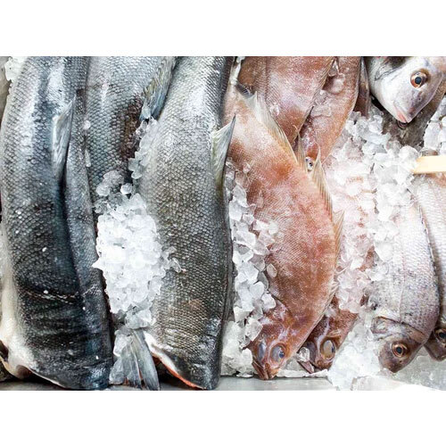 Meat Chicken Fish Cold Room Service