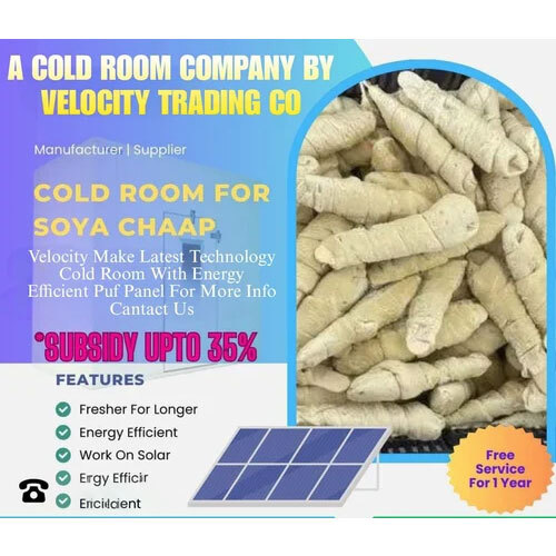 Soya Chaap Cold Storage Service